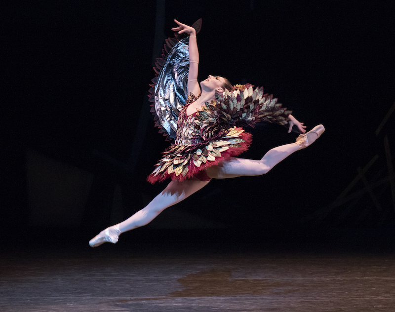 Tiler Peck in a bronze and gold Cuckoo Bird costume as she leaps high in the air her back leg bent and front extended